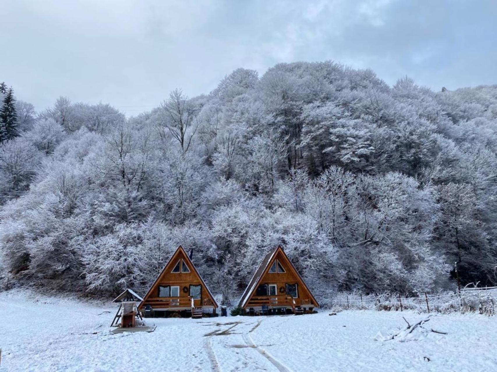 Cabanutze Satic Villa Rucăr Eksteriør bilde