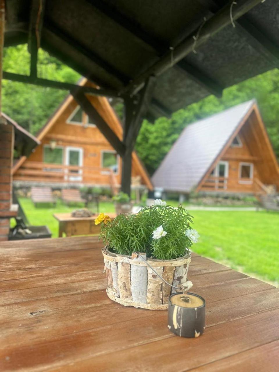 Cabanutze Satic Villa Rucăr Eksteriør bilde