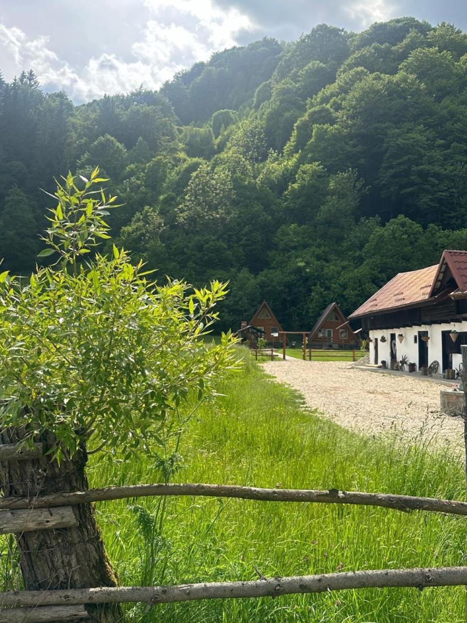 Cabanutze Satic Villa Rucăr Eksteriør bilde